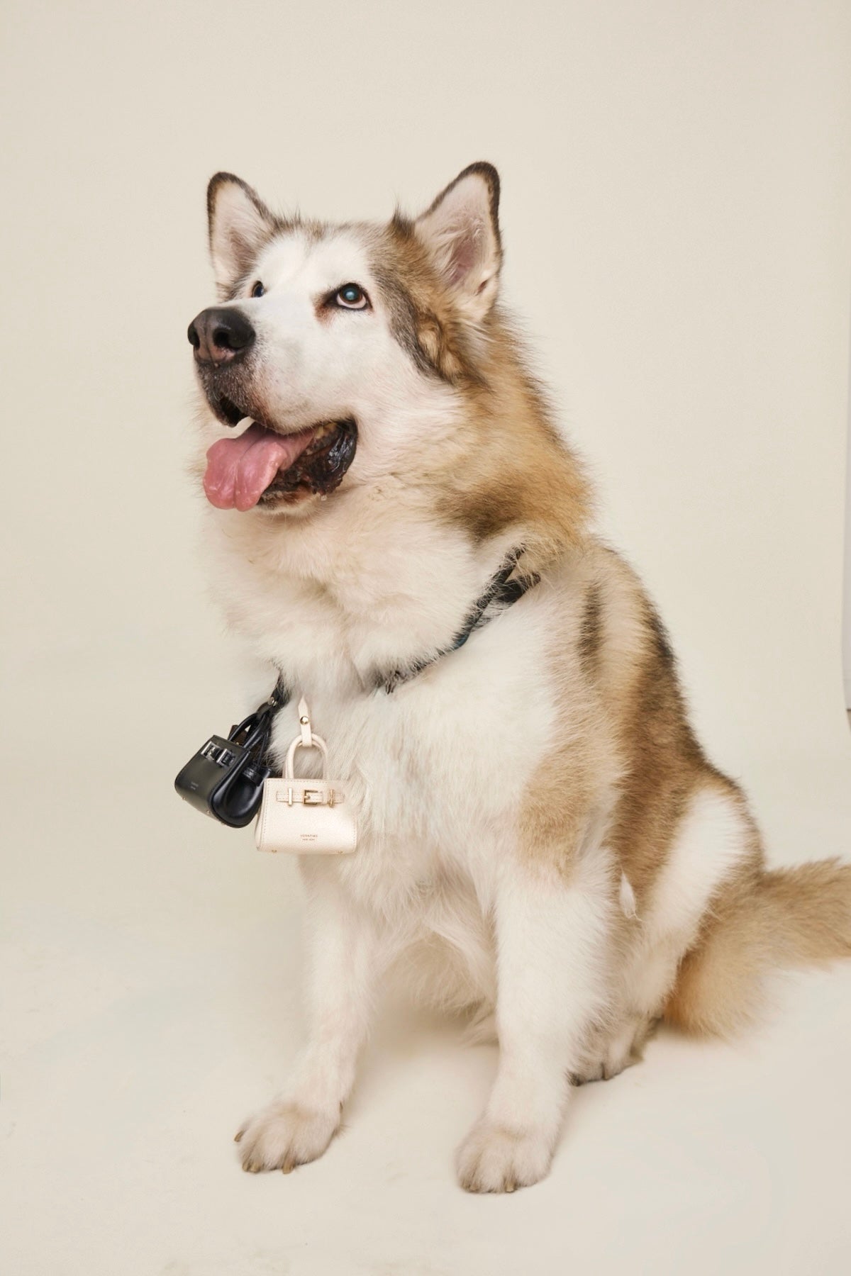 Noir Leather Book Tote Bag 25 (Low Stock)