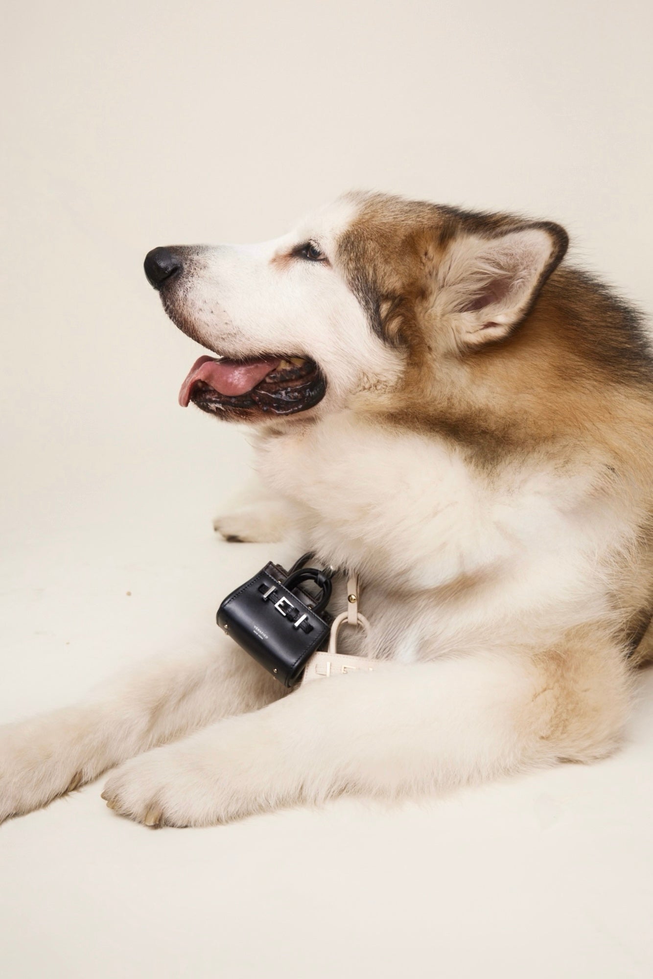 Noir Leather Book Tote Bag 25 (Low Stock)