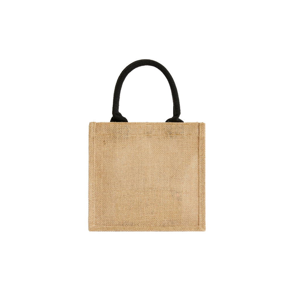 VERAFIED Straw Mini Tote Bag